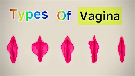Los 10 tipos de vagina (y sus caractersticas) El aparato reproductor femenino es esencial para la vida, pero tambin se vincula con la intimidad y la belleza. . Fotos de vaaginas
